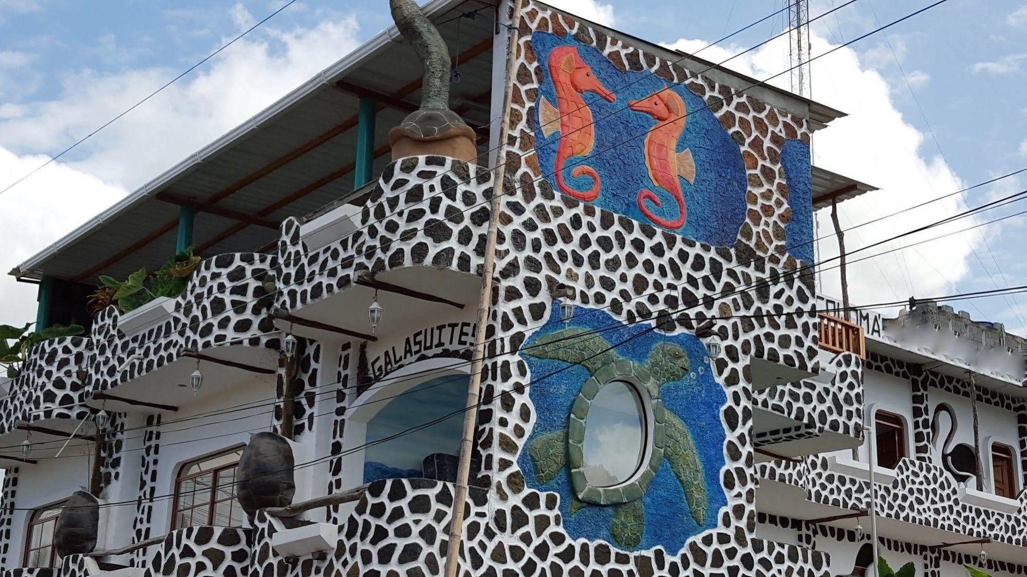 Hotel Coloma Galapagos Puerto Ayora  Exteriör bild